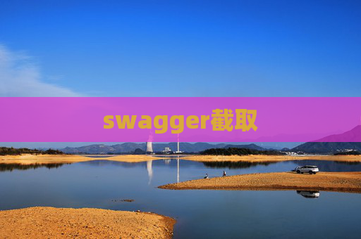 swagger截取